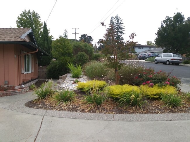 Building Photo - 2527 Colusa St