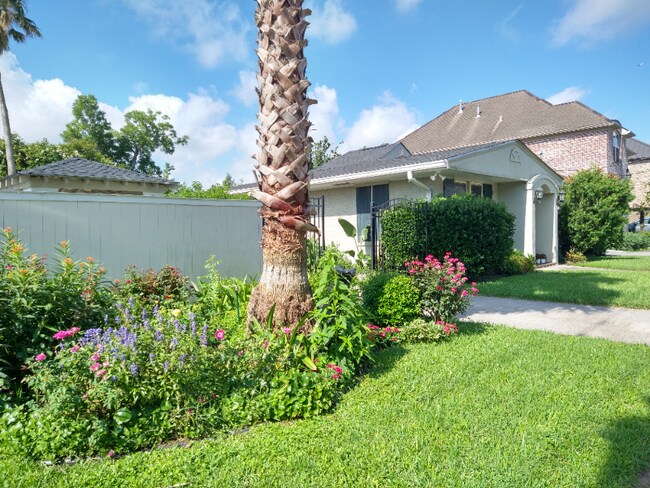 Foto del edificio - 412 Live Oak St