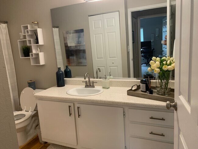 Guest Bathroom - 5618 Pinnacle Heights Cir