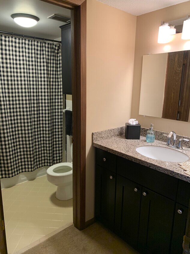 807 11th Ave S Unit 6, Hopkins, MN 55343 Condo for Rent in Hopkins