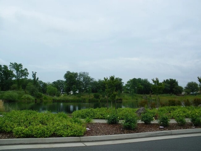 Building Photo - Pekin Court- Roseville