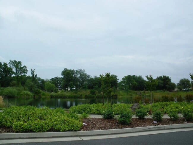 Foto del edificio - Pekin Court- Roseville