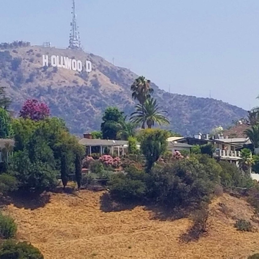 109 Houses Available for Rent in Hollywood Hills, CA