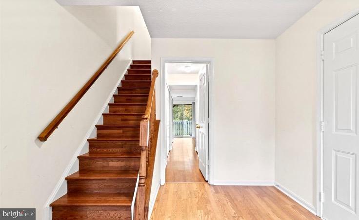 Primary Photo - 206 Park Brook Ct