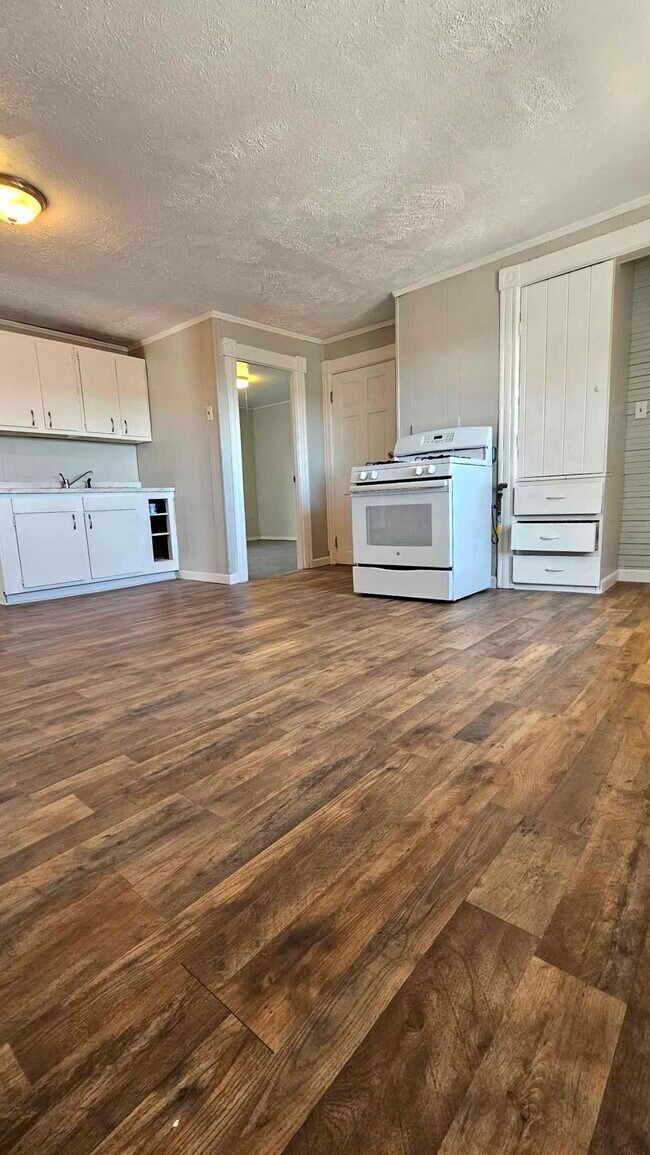 large covered porch off kitchen - 1014 Valley St