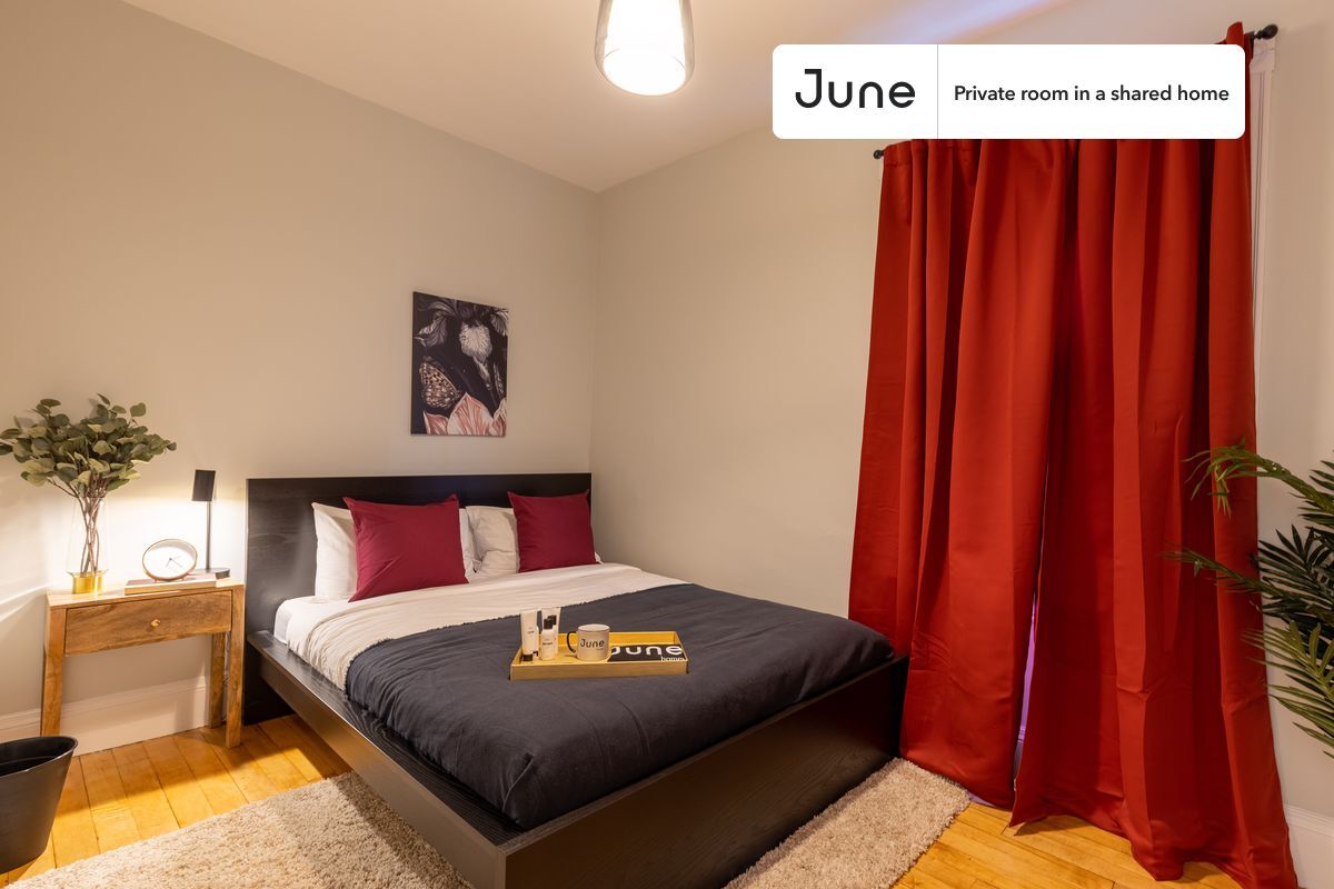 Room in Shared 4 bed/2 bath home - Room in Shared 4 bed/2 bath home