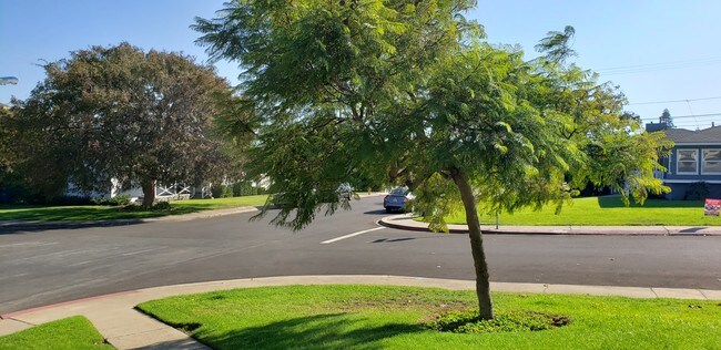 Large front corner yard - 8511 Wiley Post Ave
