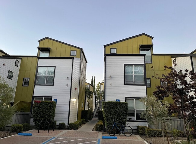 Building Photo - Montage Apartments