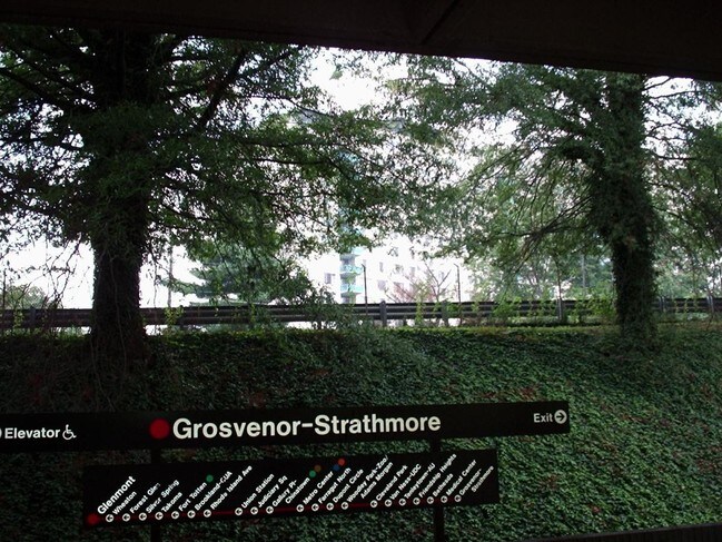 Foto del edificio - 10500 Rockville Pike