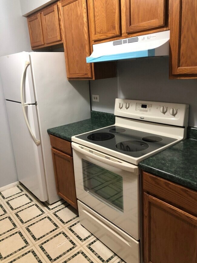 6147 Knoll Wood Ct Unit 102, Willowbrook, IL 60527 Condo for Rent in Willowbrook, IL