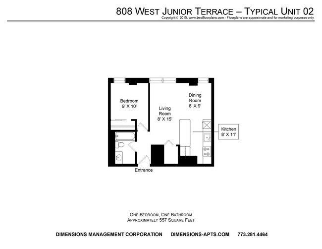 808 W Junior Terrace Apartments Chicago Il Apartments Com