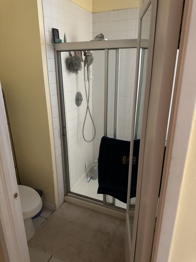 Master Shower - 1151 W Whittlers Ln