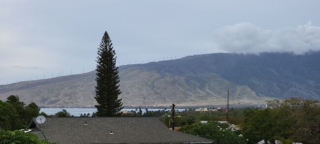 Building Photo - 260 Manini Pl