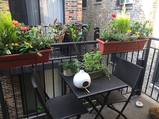 Building Photo - Awesome Top-Floor Condo with Vaulted Ceili...