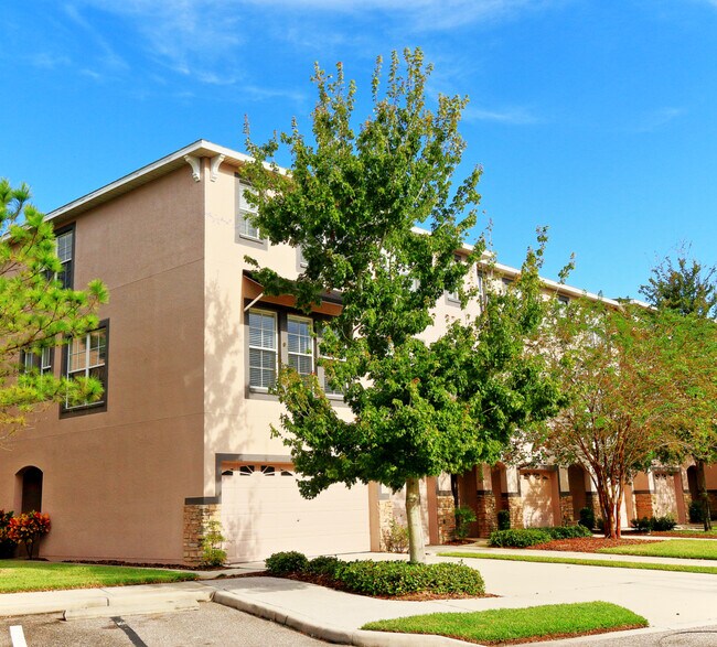 1330 Salem Orchard Ln, Brandon, FL 33511 House Rental in Brandon, FL