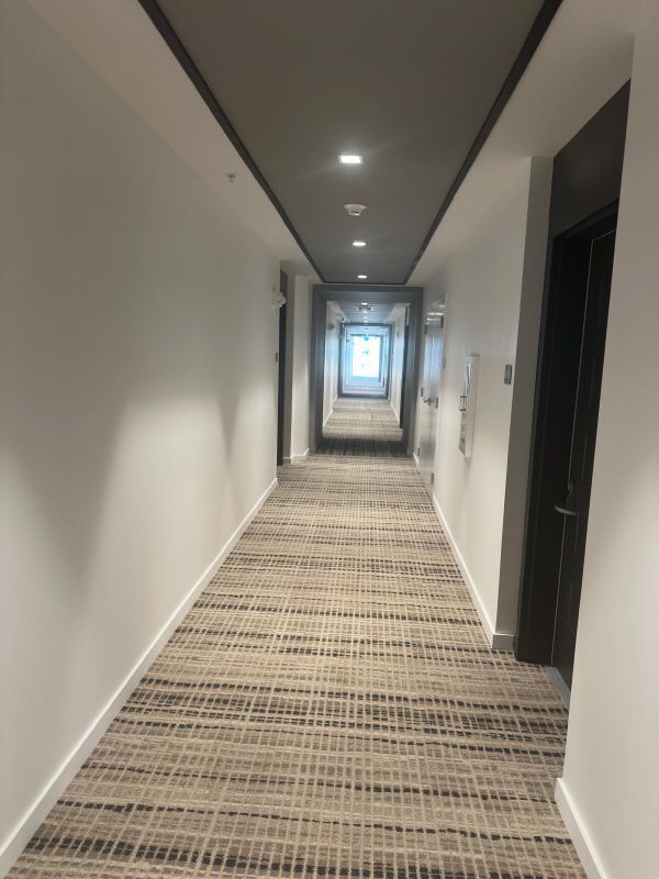Foto del edificio - 3791 Collinwood Ln