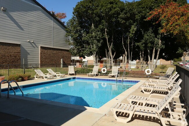 Piscina - The Berkley