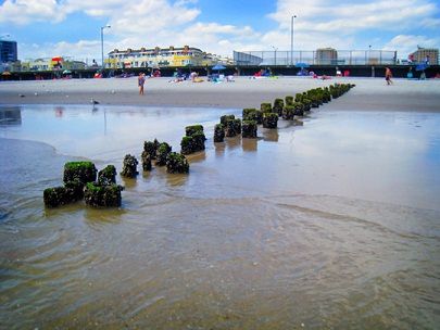 Fotografía del edificio - 180 Beach 101St St