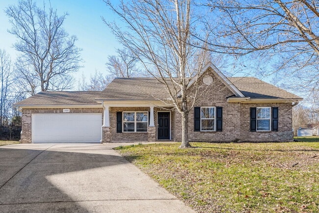 Building Photo - 2002 Owl Ct