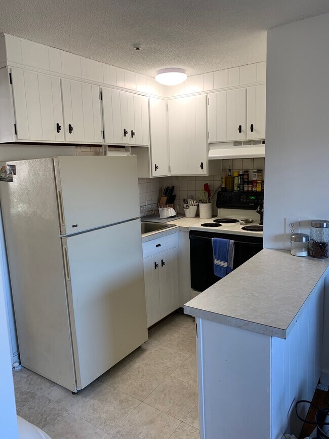 Kitchen area - 90 Quarry St