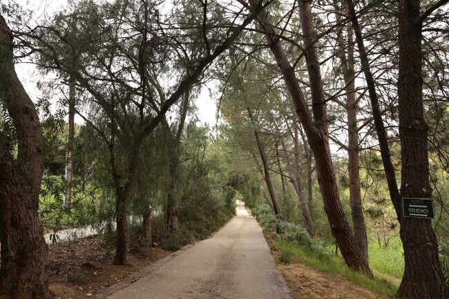 Driveway to the house - 2376 Old Topanga Canyon Rd
