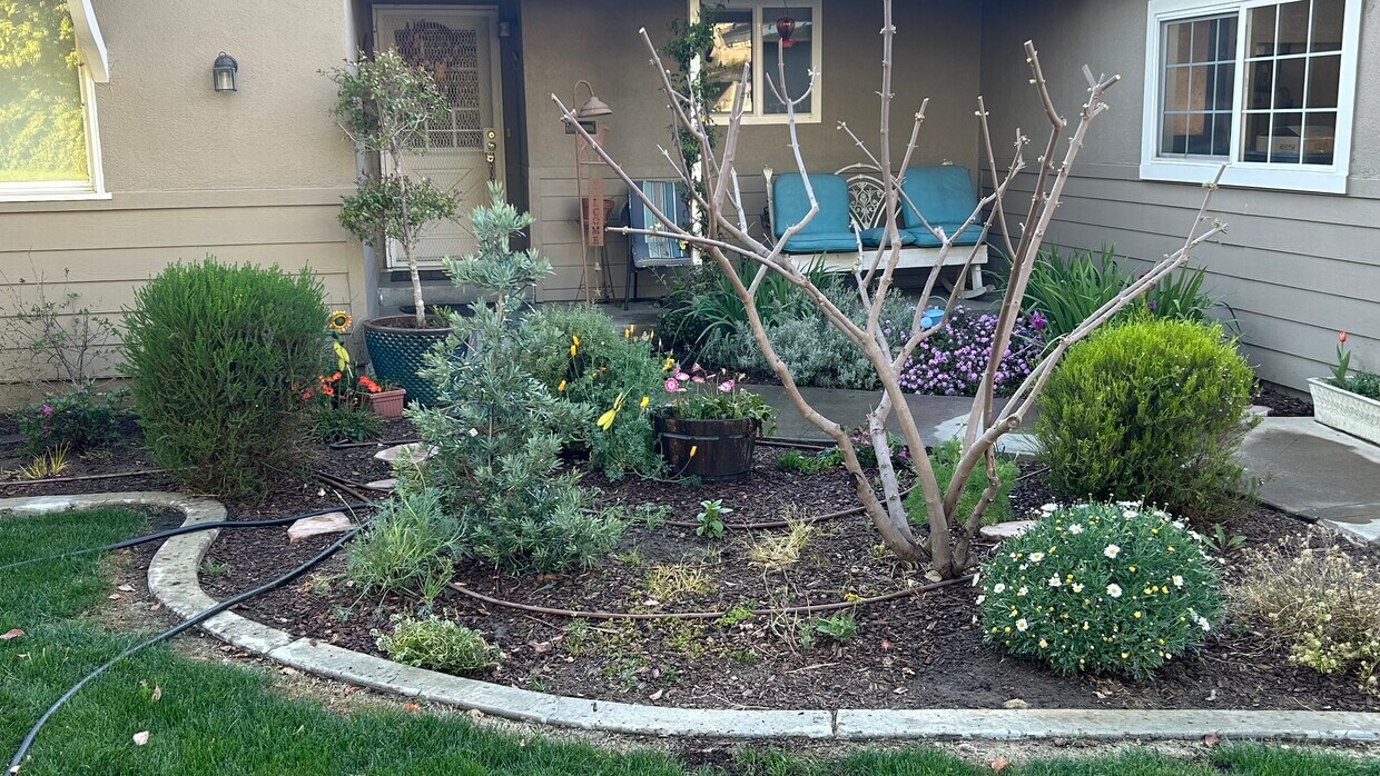 873 N Manor St, Tulare, CA 93274 House Rental in Tulare, CA