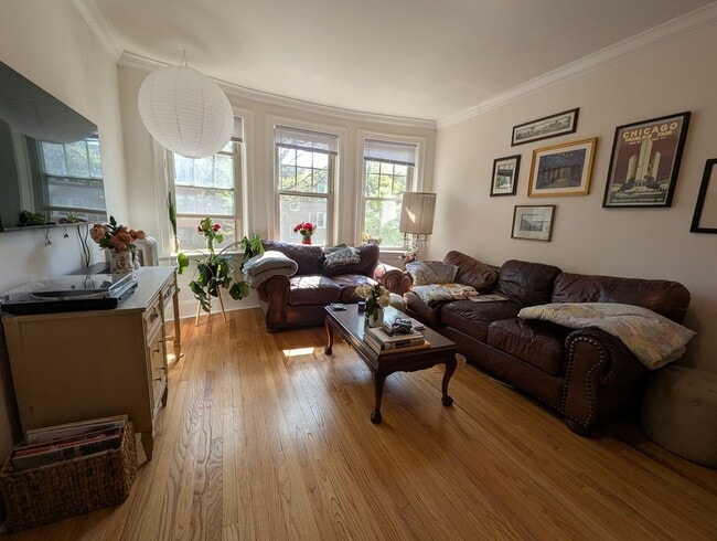 Building Photo - Newly Renovated 3 BR/1 BA in Loyola