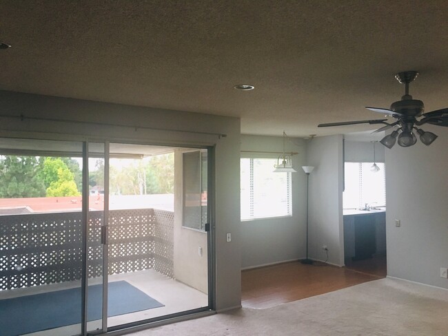 Living Room/Balcony - 23296 Caminito Marcial