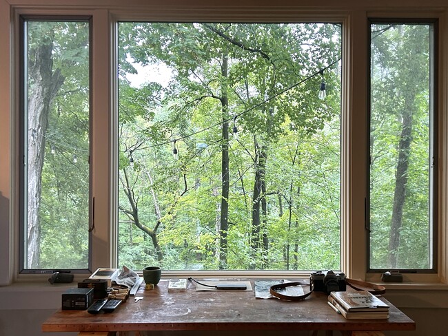 Loads of light and big open window facing the bluestone patio - 72 Kenozia Lake Rd