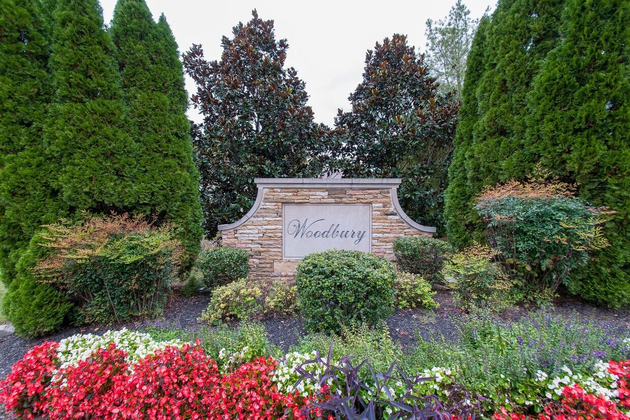 Foto principal - 1138 Woodbury Falls Ct