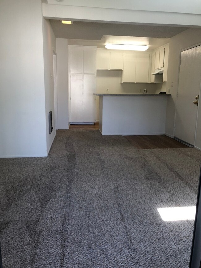 Interior Photo - Springtree Apartments