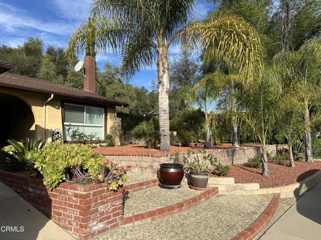 Building Photo - 29116 Hillrise Dr