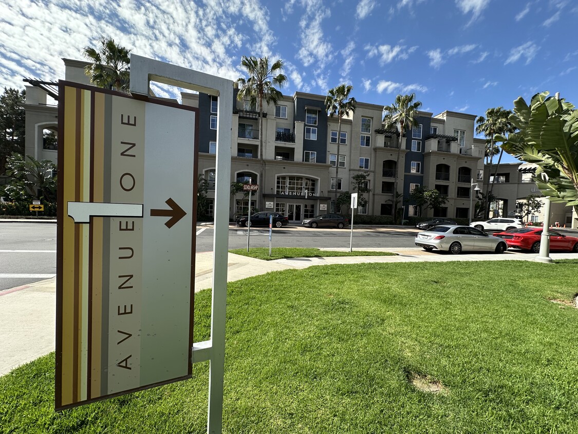 Welcome to Avenue One - 1336 Scholarship