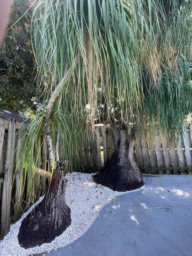 Photo - 2620 NE 19th St House