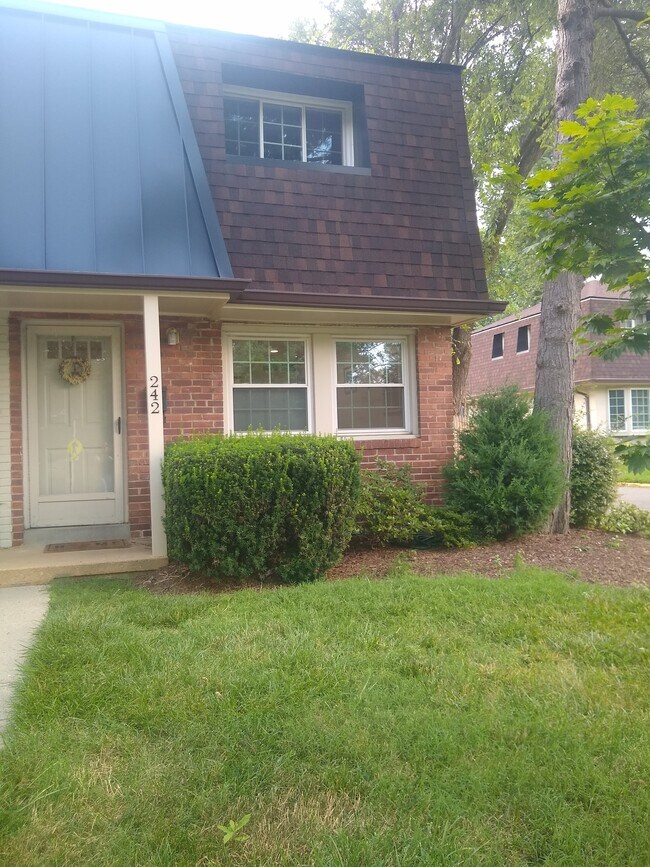 Front Yard 2 - 242 S Virginia Ave