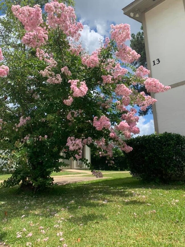 Terrace Villa Apartments in El Dorado, AR