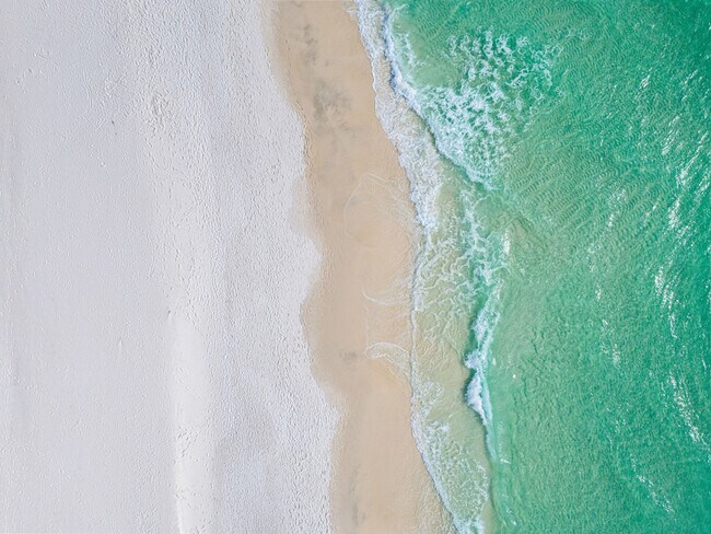 Foto del edificio - 215 Venus Ct