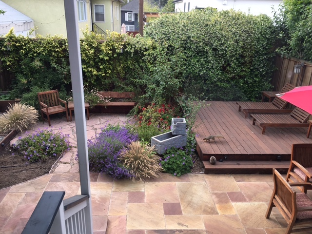 Landscaped backyard with deck - 5242 Shafter Ave