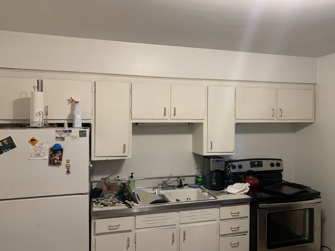 143 Ann St Unit 1S, Clarendon Hills, IL 60514 Apartment for Rent in