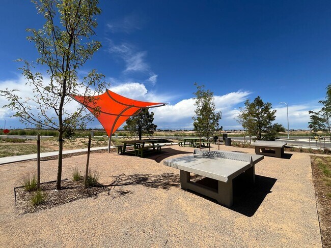 Building Photo - BEAUTIFUL NEW BUILD - 3 bed 2.5 bath w/ La...