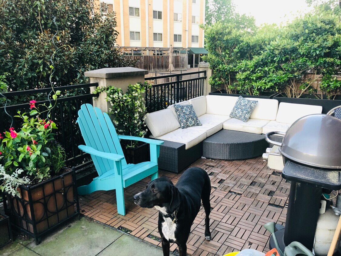 Buckhead Terrace Gem - 2277 Peachtree Rd NE