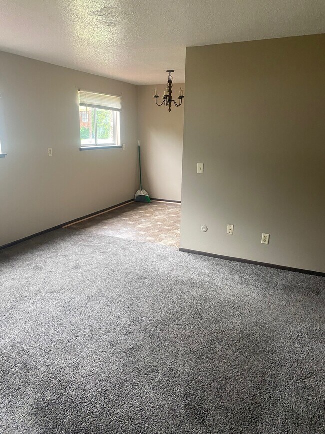 Living room - 3023 N Michigan Ave