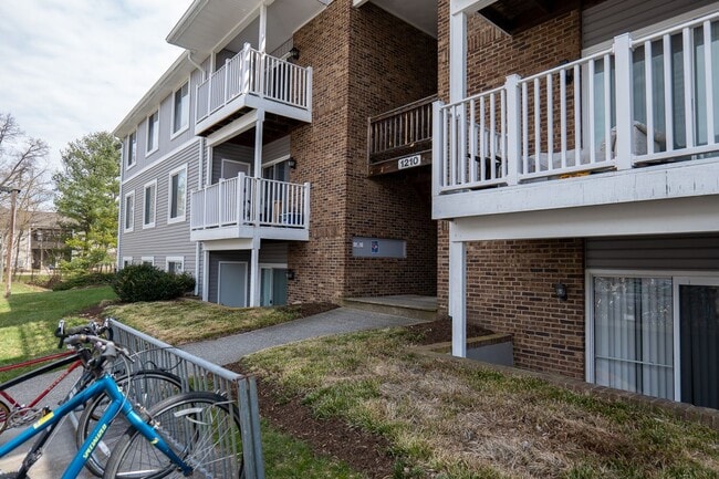 Building Photo - 1207 A University Terrace | 4 Bedroom 2 Ba...
