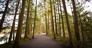 Building Photo - Pinewood Terrace