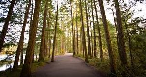 Foto del edificio - Pinewood Terrace