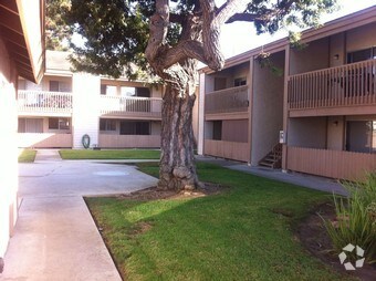Primary Photo - 224 Avocado St