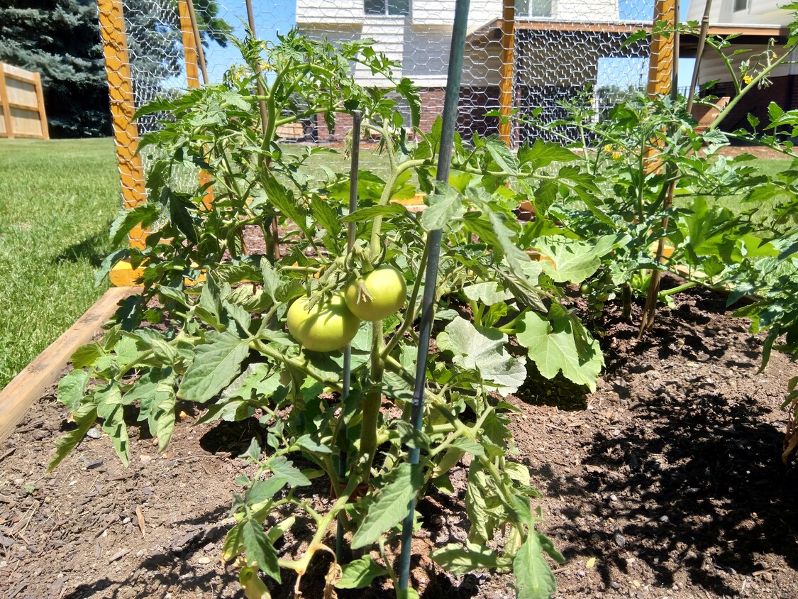 Grow Your Own Produce - 8830 W Jewell Ave