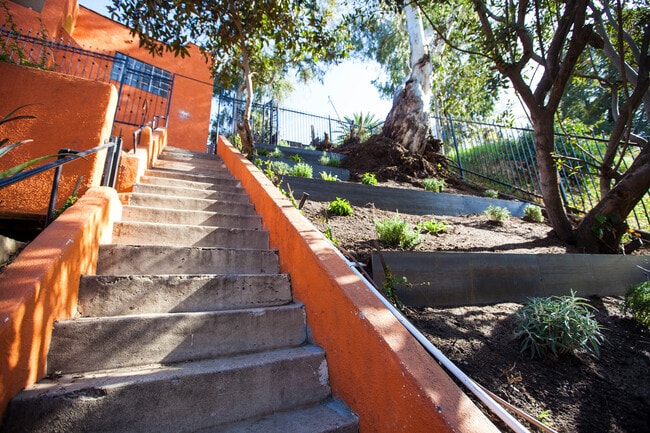 New landscaping. - 830 Laguna Ave