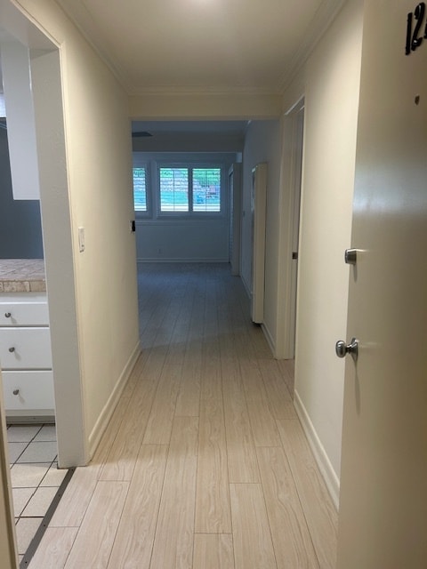 Entry - The Malibuan