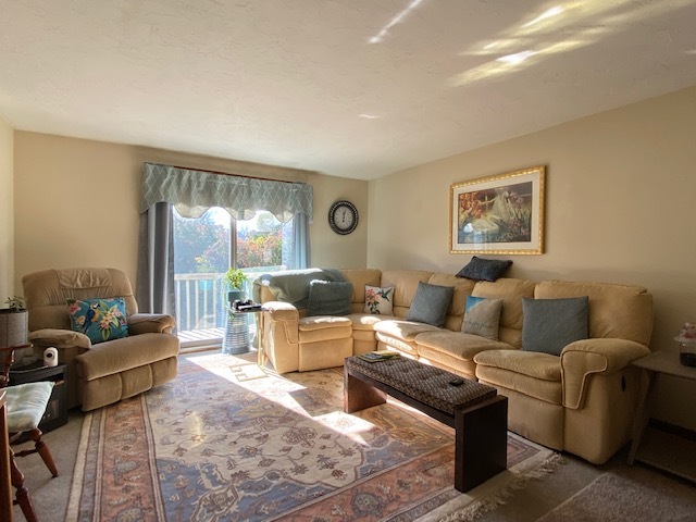Living room - 22 Cumberland St